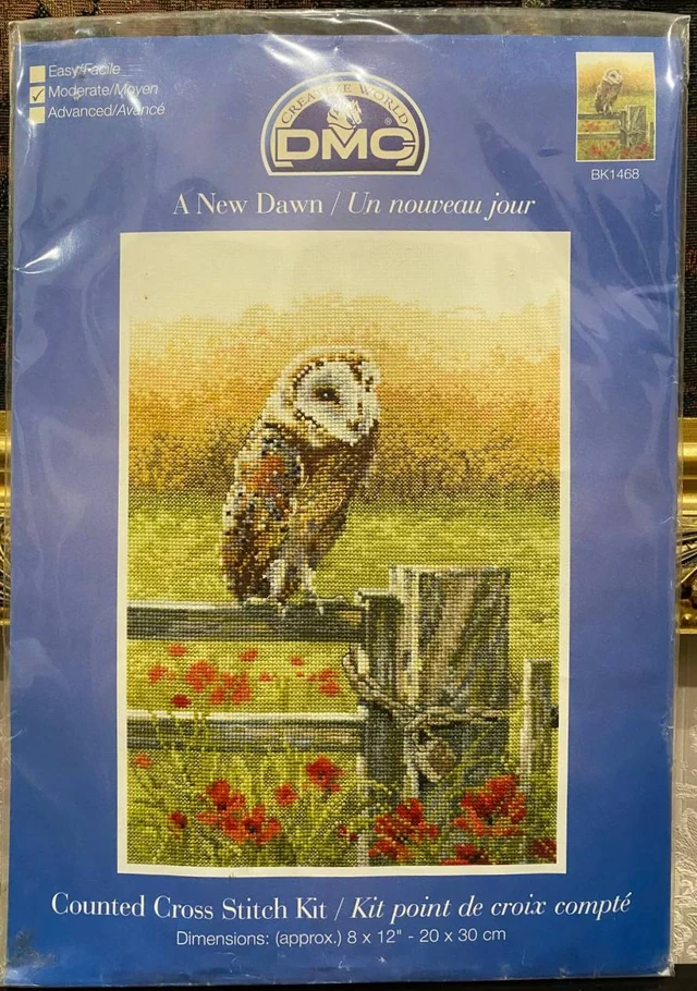 DMC Creative World — “A New Dawn” BK1468 🦉🌅